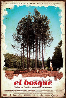 El Bosque Imagen de El Bosque