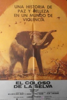 El coloso de la selva Imagen de El coloso de la selva
