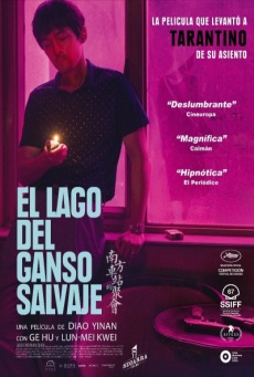 El lago del ganso salvaje Imagen de El lago del ganso salvaje