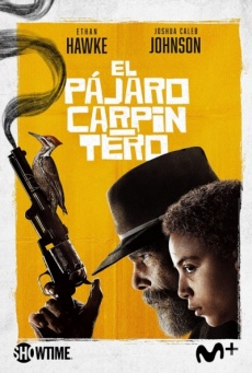 El pájaro carpintero Imagen de El pájaro carpintero