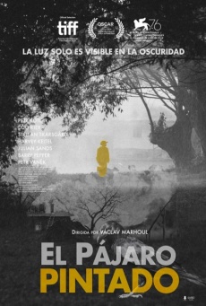El pájaro pintado Imagen de El pájaro pintado