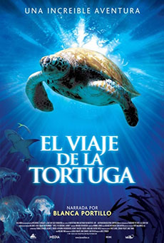 El viaje de la tortuga Imagen de El viaje de la tortuga