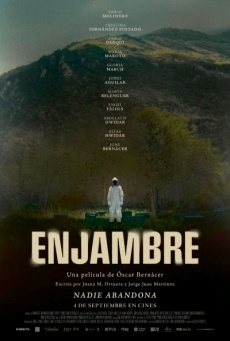 Imagen de Enjambre