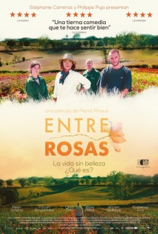 Entre rosas Imagen de Entre rosas
