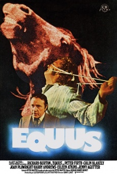 Equus Imagen de Equus