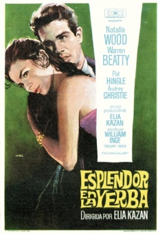 Esplendor en la hierba Imagen de Esplendor en la hierba