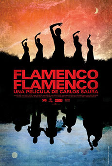 Flamenco, flamenco Imagen de Flamenco, flamenco