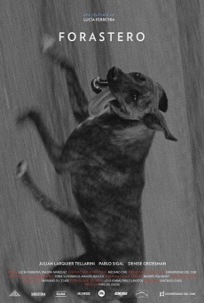Forastero Imagen de Forastero