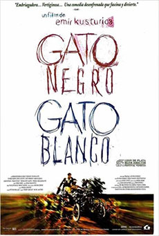 Gato negro, gato blanco Imagen de Gato negro, gato blanco