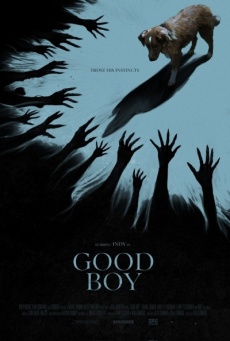 Imagen de Good Boy