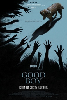 Imagen de Good Boy