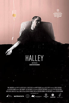 Halley Imagen de Halley