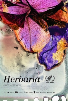 Herbaria Imagen de Herbaria