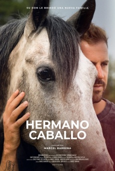 Hermano caballo Imagen de Hermano caballo