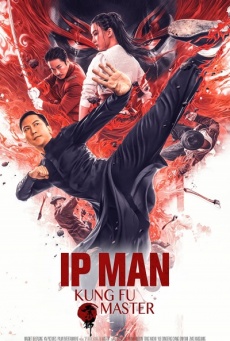 Imagen de Ip Man: Kung Fu Master