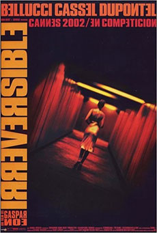Irreversible Imagen de Irreversible