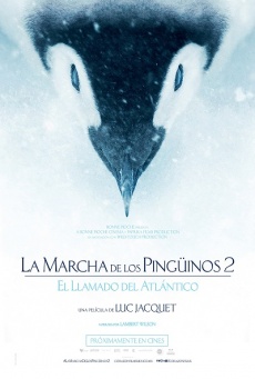 La marcha de los pingüinos 2: El llamado del Atlántico Imagen de La marcha de los pingüinos 2: El llamado del Atlántico