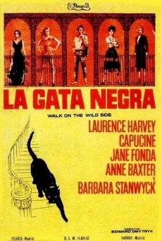 La gata negra Imagen de La gata negra