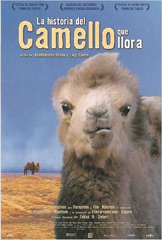 La historia del camello que llora Imagen de La historia del camello que llora