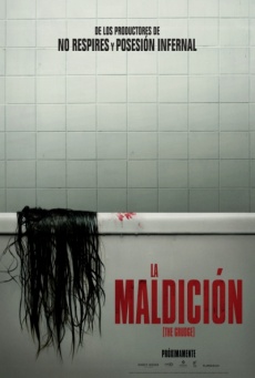 Imagen de La maldición (The Grudge)