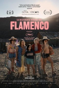 Imagen de La misteriosa mirada del flamenco