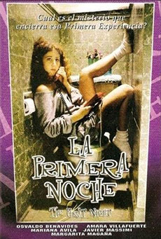 La primera noche Imagen de La primera noche