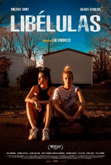 Libélulas Imagen de Libélulas