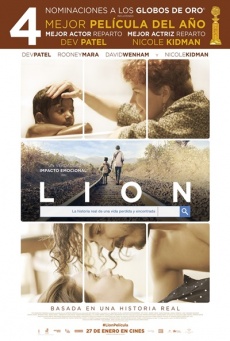 Lion Imagen de Lion