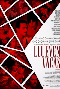 Llueven vacas Imagen de Llueven vacas