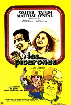 Los picarones Imagen de Los picarones