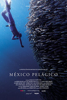 México pelágico Imagen de México pelágico