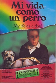 Mi vida como un perro Imagen de Mi vida como un perro