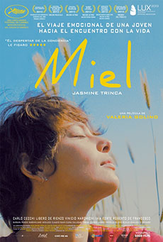 Miel Imagen de Miel