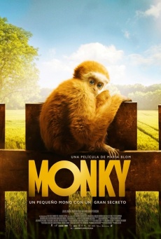 Monky Imagen de Monky