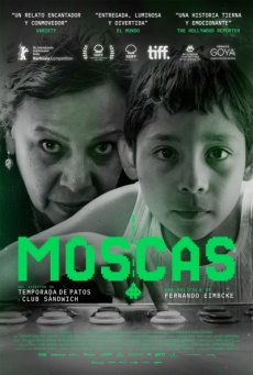 Imagen de Moscas