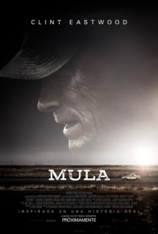 Mula Imagen de Mula