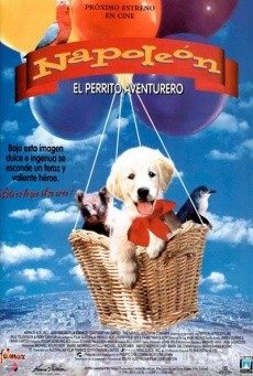 Napoleón, el perrito aventurero Imagen de Napoleón, el perrito aventurero