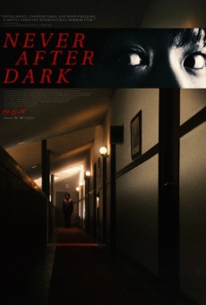Imagen de Never After Dark