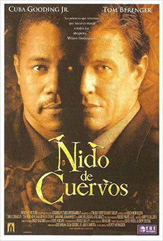 Nido de cuervos Imagen de Nido de cuervos