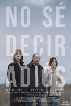 No sé decir adiós Imagen de No sé decir adiós