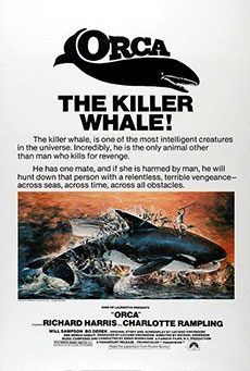 Orca, la ballena asesina Imagen de Orca, la ballena asesina