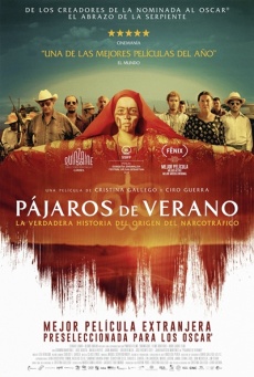Pájaros de verano Imagen de Pájaros de verano