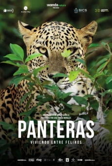 Panteras Imagen de Panteras