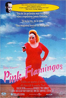 Imagen de Pink Flamingos