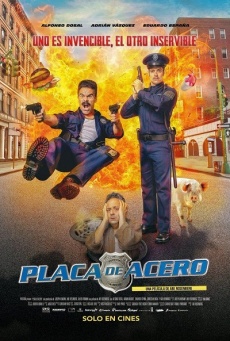 Placa de acero Imagen de Placa de acero