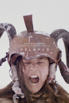 Polaris Imagen de Polaris