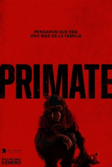 Imagen de Primate