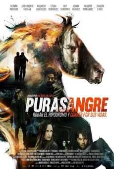 Purasangre Imagen de Purasangre