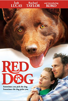 Red Dog, una historia de lealtad Imagen de Red Dog, una historia de lealtad