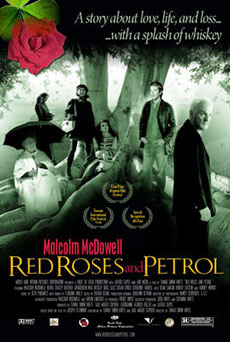 Red Roses and Petrol Imagen de Red Roses and Petrol